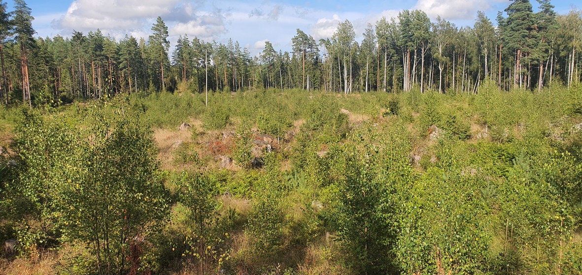 Porvoo, Seitlahti, Laajasuontie 50 B